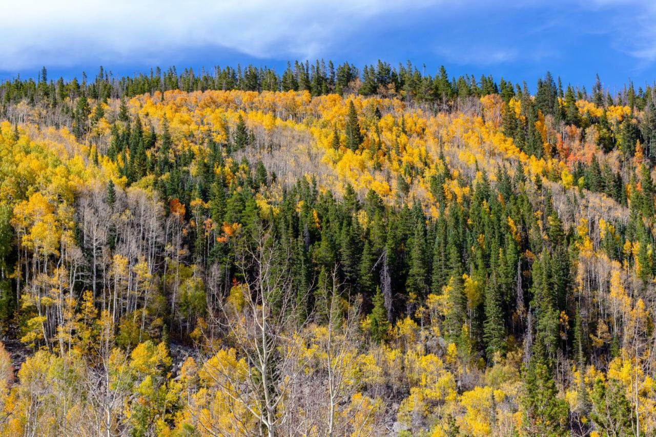 Quiet In The Pines - Permit #3120 Daire Estes Park Dış mekan fotoğraf